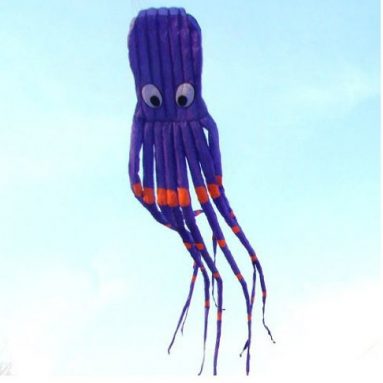 Large Octopus Parafoil Kite