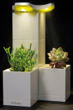 LeGrow Self-Watering Indoor Planter