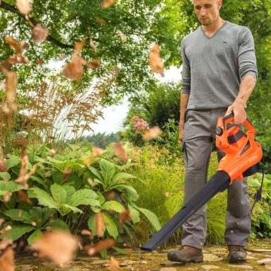 Leaf Blower/Vacuum/Mulcher