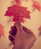 Leaf Maple Sticky Notes