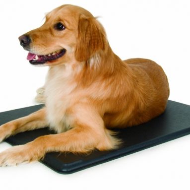 Lectro Kennel Heated Pad with Free Fleece Cover