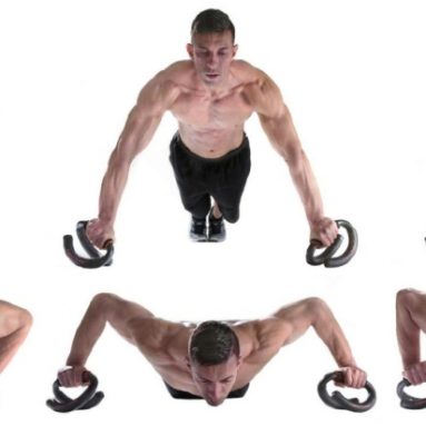 Legend Pushup Push Up Bars + Stability Trainer