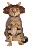 Leia Cat Costume