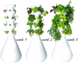 Lettuce Grow 12-Plant Farmstand