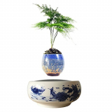 Levitating Floating Bonsai Air Plant Ceramic Bonsai Pot