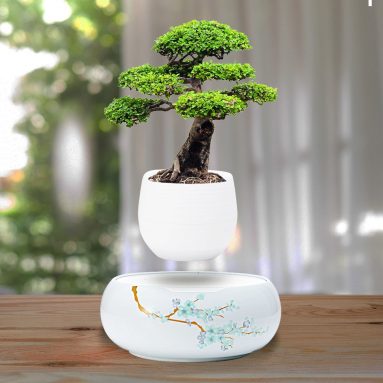 Levitating Plant Pot with Japanese Style Design