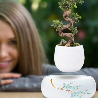 Levitating Plant Pot with Japanese Style Design