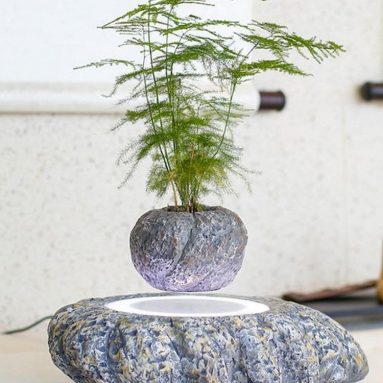 Levitation Air Bonsai