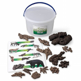 Life form Replica, Bucket of Scat, 13 Different Animals