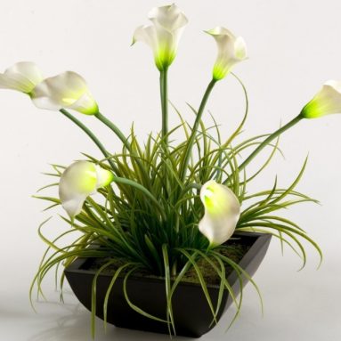 Lighted Calla Lilies in Square Metal Planter