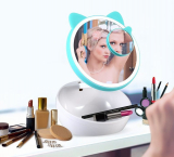 Lighted Makeup Mirror with Organizer