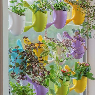 Livi Palm Pot – Assorted Colors-Indoor Suctioned Window/Wall Planter for Plants and Herbs