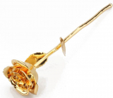 Long Stem Dipped 24k Gold Rose