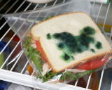 MOLDY SANDWICH BAGS