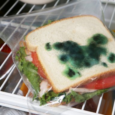 MOLDY SANDWICH BAGS