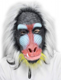 Madagascar Baboon Mask