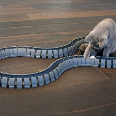 Magic Cat Track and Ball Toy