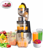 Masticating Juicer