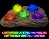 Mega Crystal Growing Lab – 8 Colors to Grow with Night Light Display Stand!