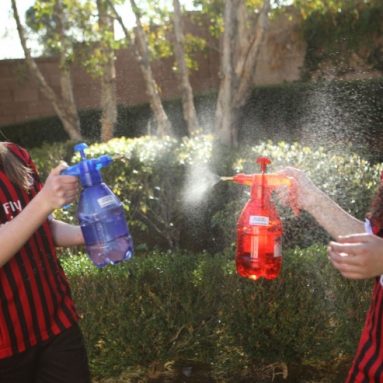 Misters Personal Water Mister Pump Spray Bottle