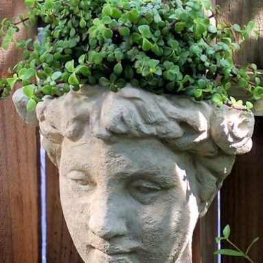 Modern Artisans Vintage Goddess Garden Bust Wall-Mounted Head Planter