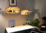 Modern Pendant Lamp Displays