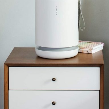 Molekule Mini PECO Filtration Technology Air Purifier