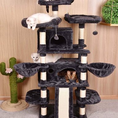 Multi-Level Cat Tree