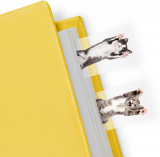 Mustard Cat in a Book