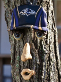 NFL Team Forest Face