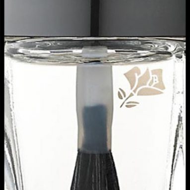 Nail Polish Clear Funny Iphone 5 Hard Case