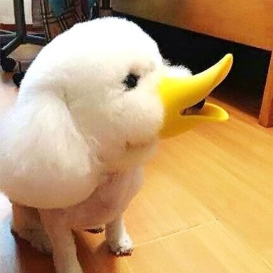 Novelty Soft Duckbilled Silica Gel Dog Muzzle