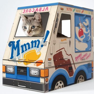 OTO Ice Cream Truck for Cats
