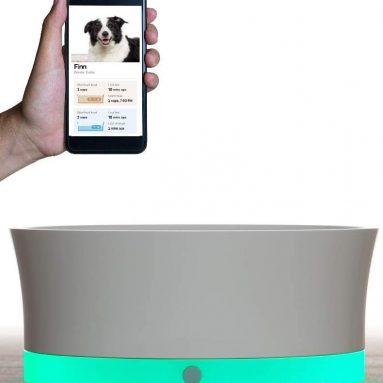 Obe ProBowl Smart Dog Bowl