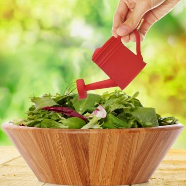 Oil Can and Vinegar Dispenser