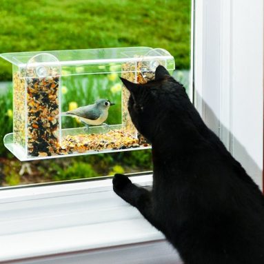 One-Way-Mirror Birdfeeder