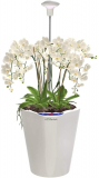 Orchid Smart Planter with LED Grow Light