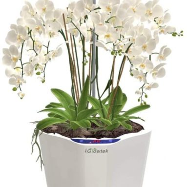 Orchid Smart Planter with LED Grow Light