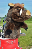 Over-Sized Pumbaa Wild Boar Hog Pig Golf Club Head Cover