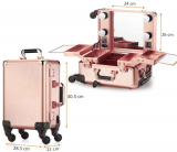 Ovonni Small LED Makeup Train Case