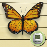 WIRELESS INDOOR OUTDOOR THERMOMETER