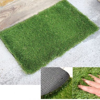 PATCH OF GRASS DOORMAT