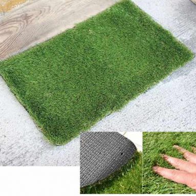 PATCH OF GRASS DOORMAT