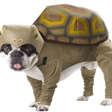 7 Dog Costume