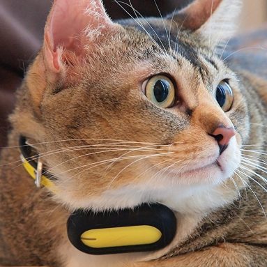 PETBLE Dog Cat Pet Smart Tag Tracker