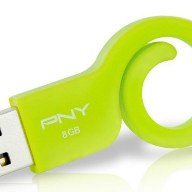 PNY Monkey 8GB Flash Drive