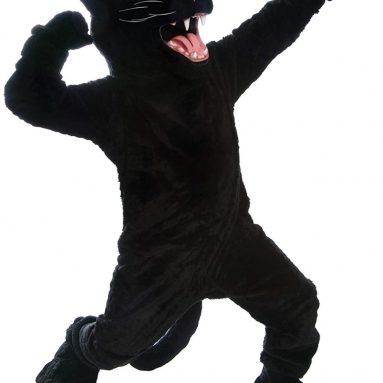 Panther Mascot Costume