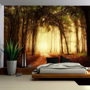 Pathway in a Forest with an Orange Glow