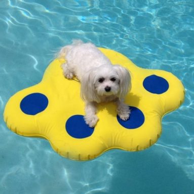 Dog Pool Float Lazy Water