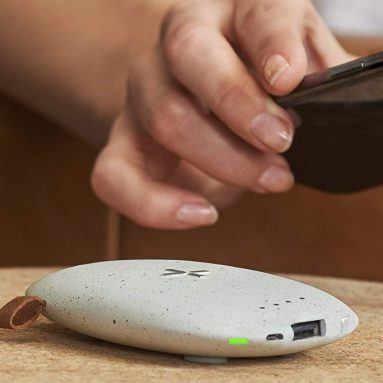 Pebble Wireless Charger and Power Bank